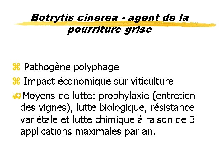 Botrytis cinerea - agent de la pourriture grise z Pathogène polyphage z Impact économique