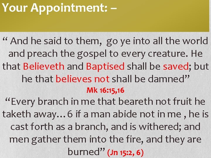 Your Appointment: – “ And he said to them, go ye into all the