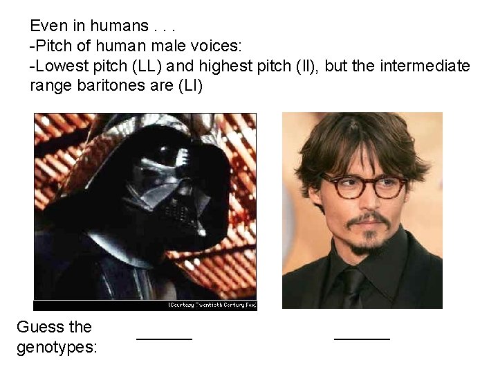 Even in humans. . . -Pitch of human male voices: -Lowest pitch (LL) and