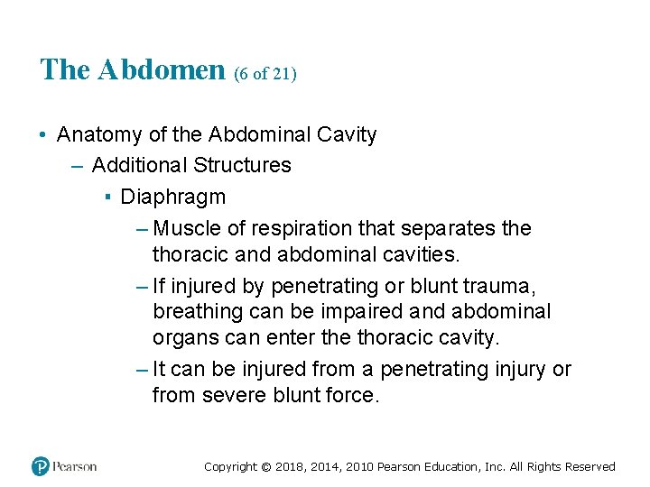 The Abdomen (6 of 21) • Anatomy of the Abdominal Cavity – Additional Structures