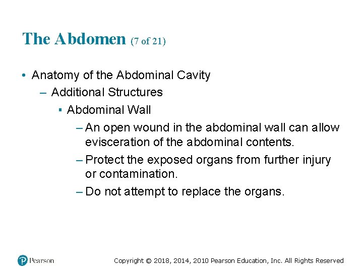 The Abdomen (7 of 21) • Anatomy of the Abdominal Cavity – Additional Structures