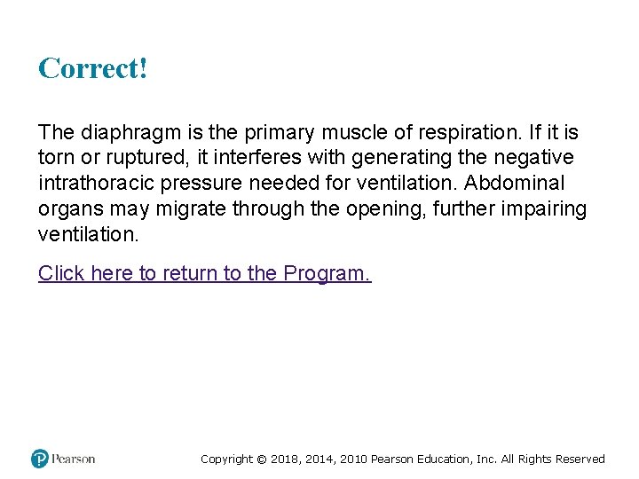 Correct! The diaphragm is the primary muscle of respiration. If it is torn or