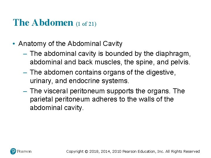 The Abdomen (1 of 21) • Anatomy of the Abdominal Cavity – The abdominal