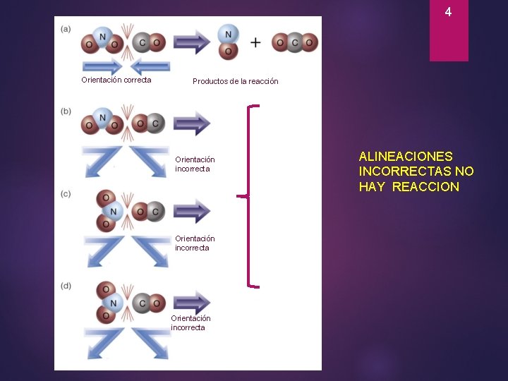4 Orientación correcta Productos de la reacción Orientación incorrecta ALINEACIONES INCORRECTAS NO HAY REACCION