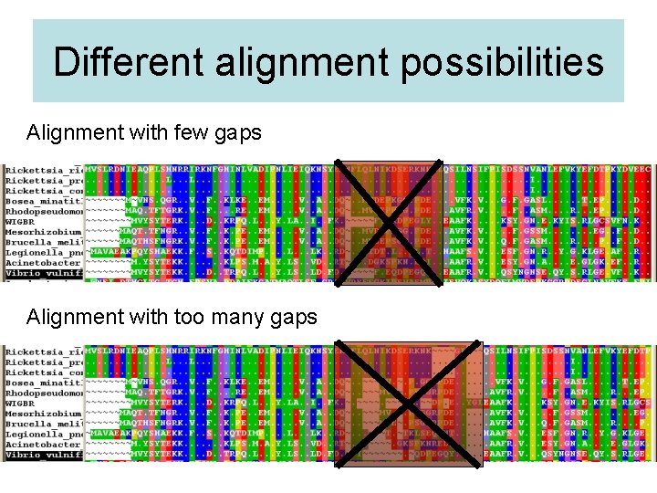 Different alignment possibilities Alignment with few gaps Alignment with too many gaps 