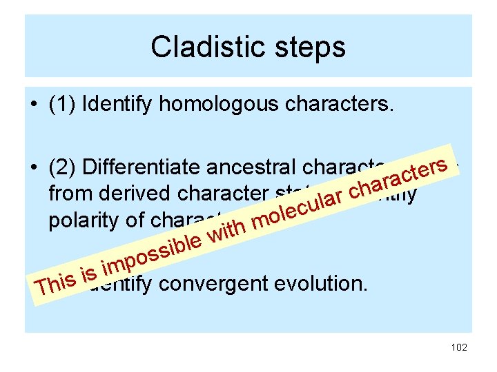 Cladistic steps • (1) Identify homologous characters. s • (2) Differentiate ancestral character states