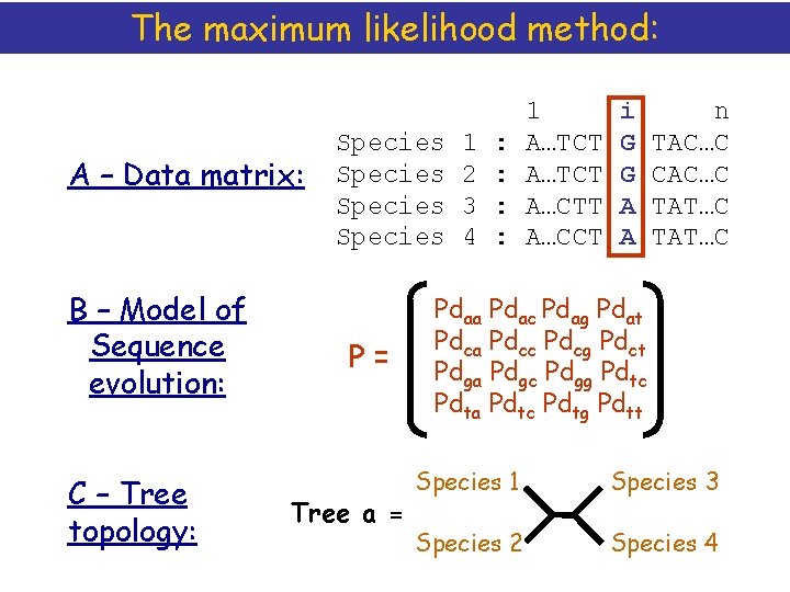 The maximum likelihood method: A – Data matrix: B – Model of Sequence evolution: