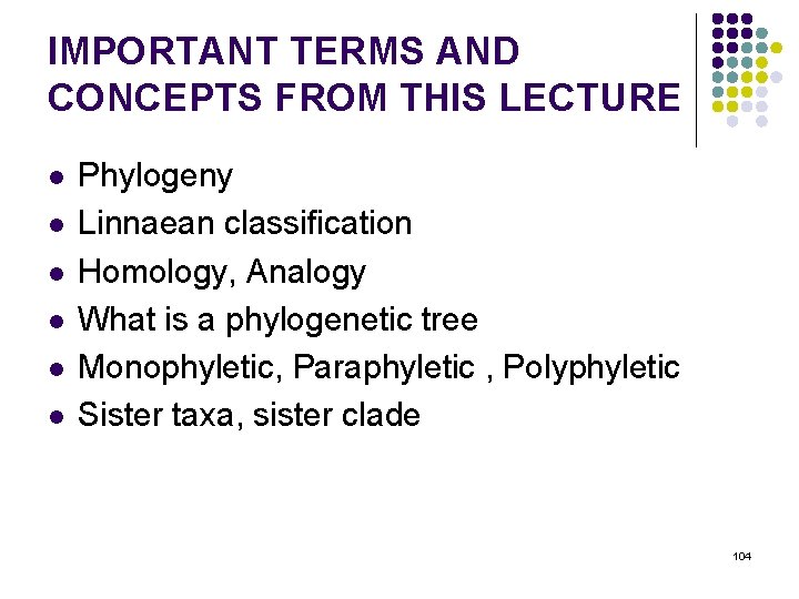 IMPORTANT TERMS AND CONCEPTS FROM THIS LECTURE l l l Phylogeny Linnaean classification Homology,