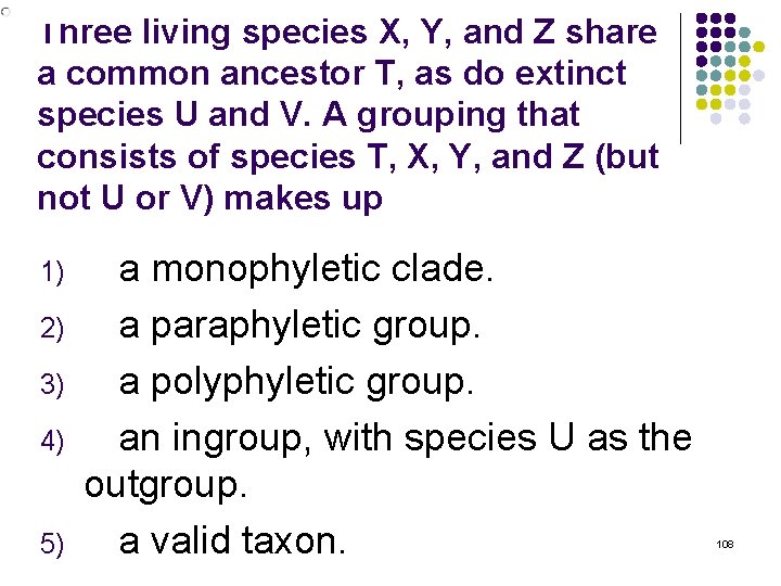 Three living species X, Y, and Z share a common ancestor T, as do