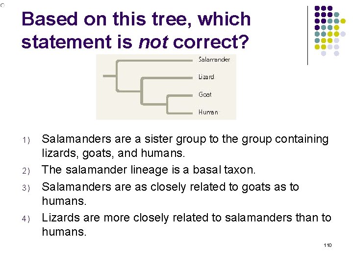 Based on this tree, which statement is not correct? 1) 2) 3) 4) Salamanders