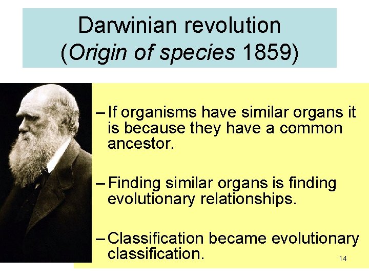 Darwinian revolution (Origin of species 1859) – If organisms have similar organs it is