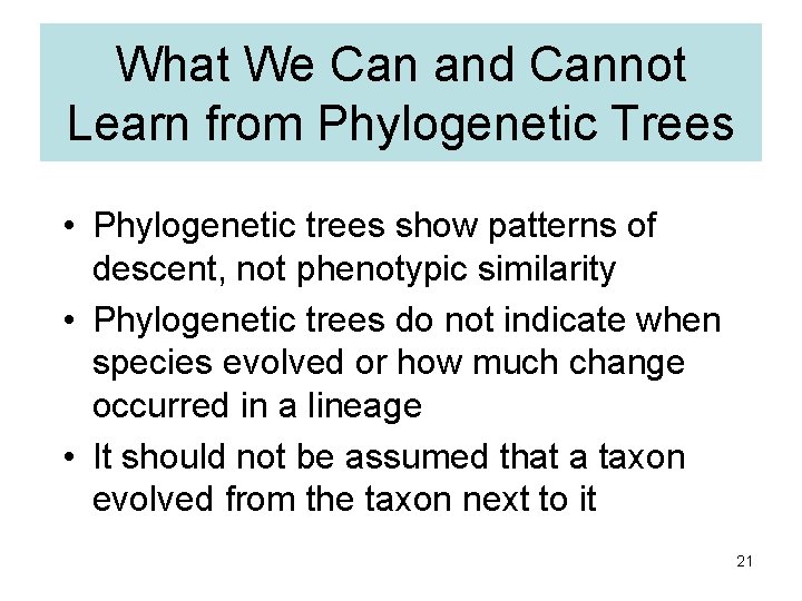 What We Can and Cannot Learn from Phylogenetic Trees • Phylogenetic trees show patterns