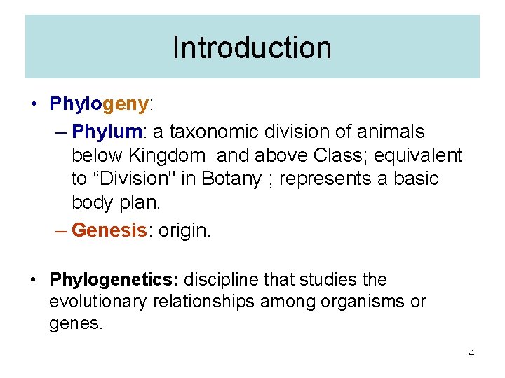 Introduction • Phylogeny: – Phylum: a taxonomic division of animals below Kingdom and above