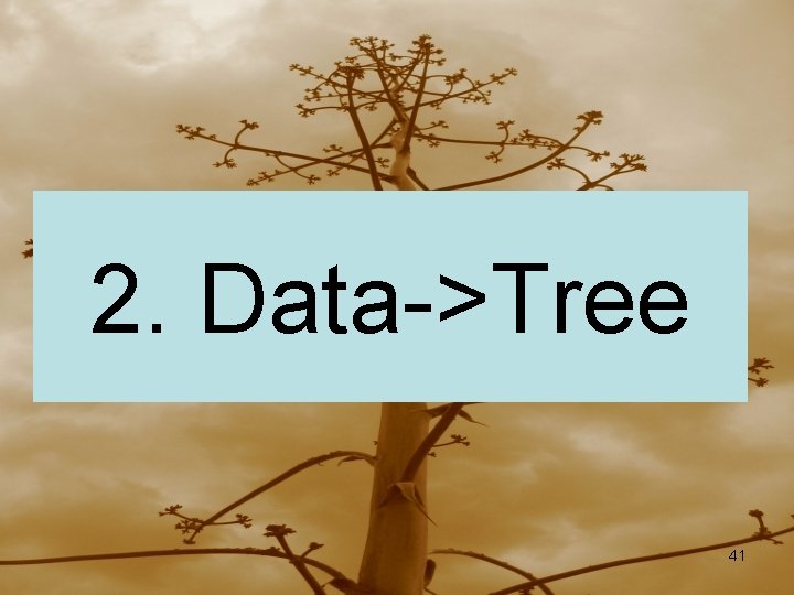 2. Data->Tree 41 