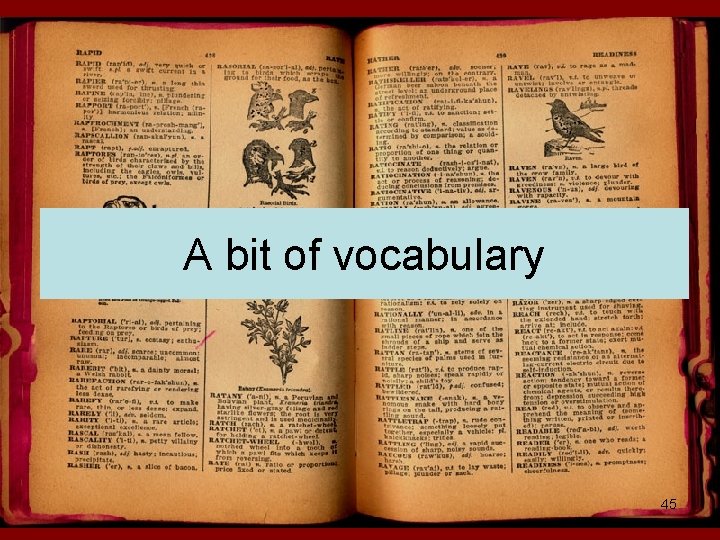 A bit of vocabulary 45 