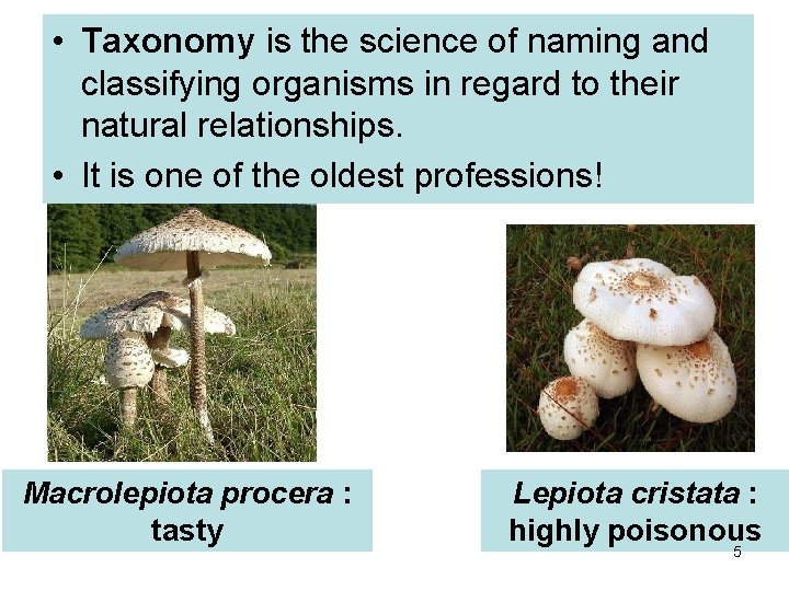  • Taxonomy is the science of naming and classifying organisms in regard to