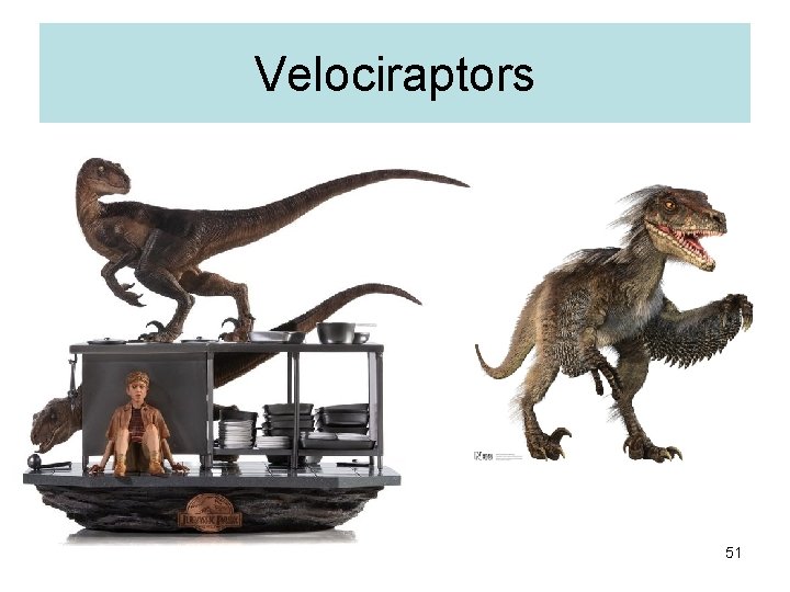 Velociraptors 51 