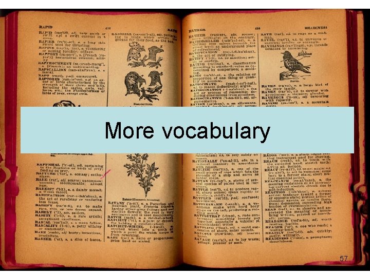 More vocabulary 57 