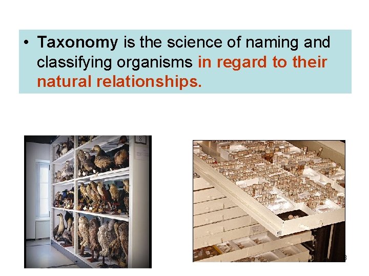  • Taxonomy is the science of naming and classifying organisms in regard to