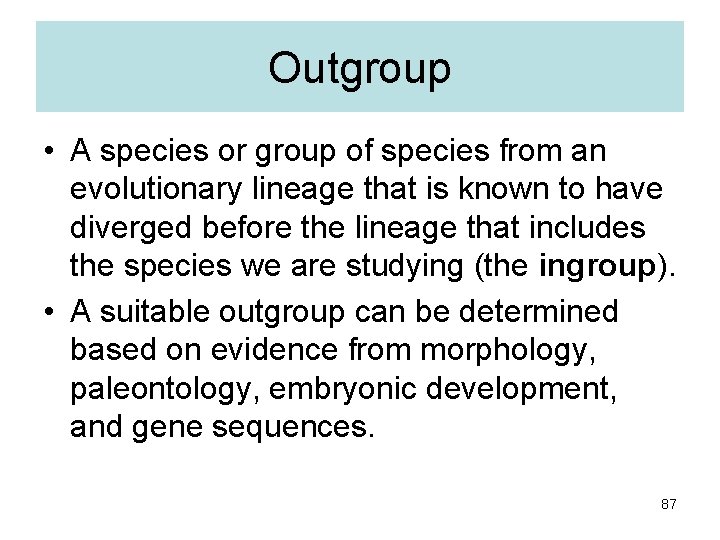Outgroup • A species or group of species from an evolutionary lineage that is