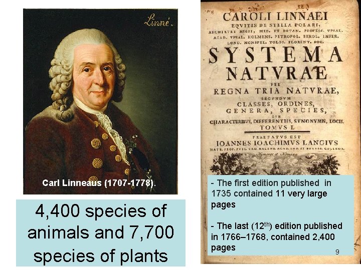 Carl Linneaus (1707 -1778). 4, 400 species of animals and 7, 700 species of