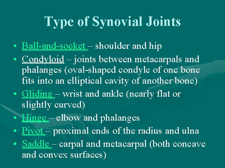Type of Synovial Joints • Ball-and-socket – shoulder and hip • Condyloid – joints