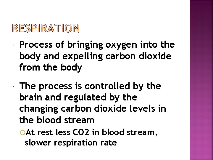 the process of breathing or taking in oxygen is called