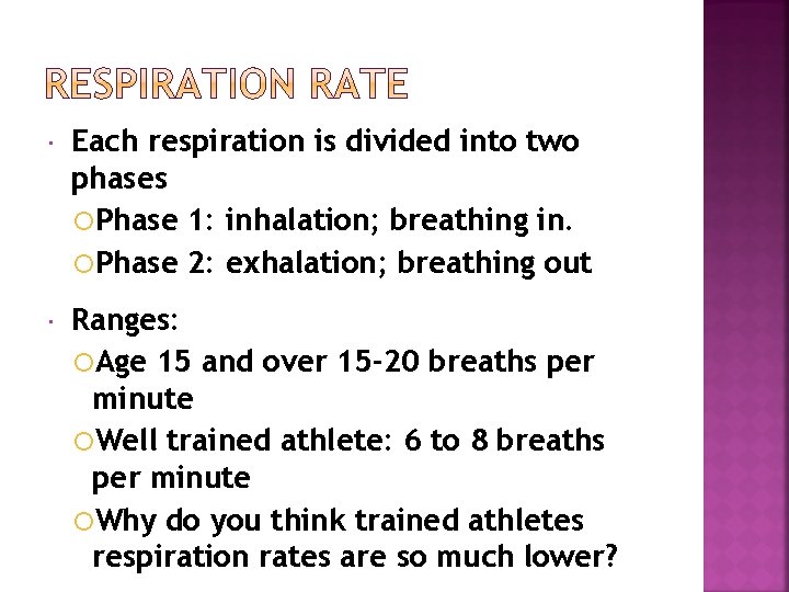  Each respiration is divided into two phases Phase 1: inhalation; breathing in. Phase