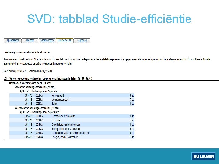 SVD: tabblad Studie-efficiëntie 