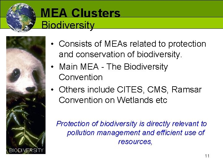 MEA Clusters Biodiversity • Consists of MEAs related to protection and conservation of biodiversity.