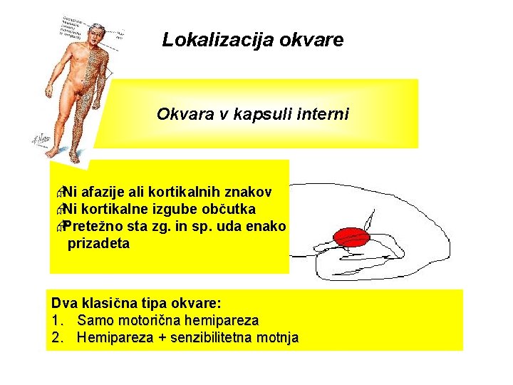 Lokalizacija okvare Okvara v kapsuli interni ÆNi afazije ali kortikalnih znakov ÆNi kortikalne izgube