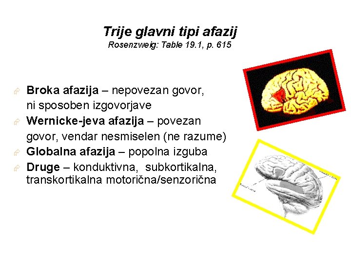 Trije glavni tipi afazij Rosenzweig: Table 19. 1, p. 615 Æ Æ Broka afazija