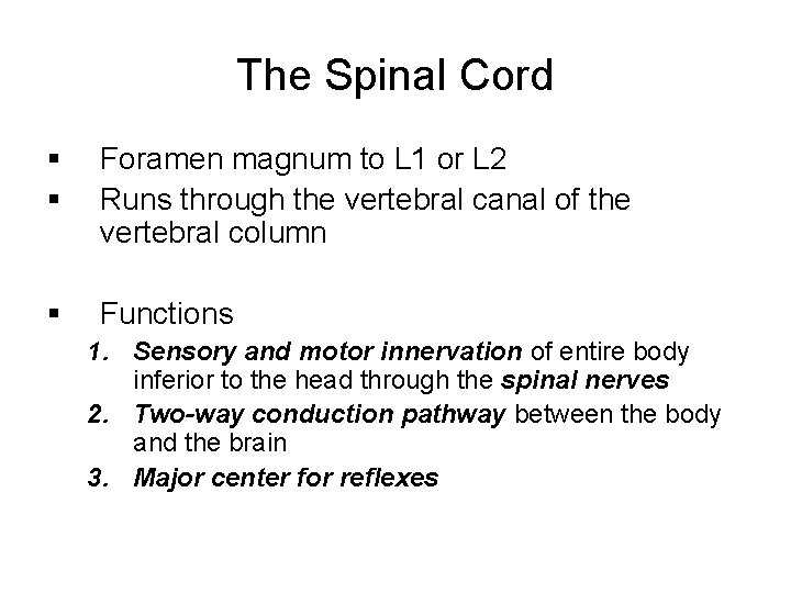 The Spinal Cord § § Foramen magnum to L 1 or L 2 Runs