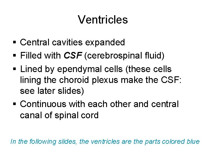 Ventricles § Central cavities expanded § Filled with CSF (cerebrospinal fluid) § Lined by