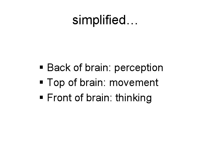 simplified… § Back of brain: perception § Top of brain: movement § Front of