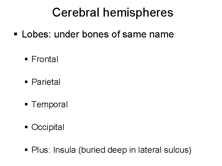 Cerebral hemispheres § Lobes: under bones of same name § Frontal § Parietal §