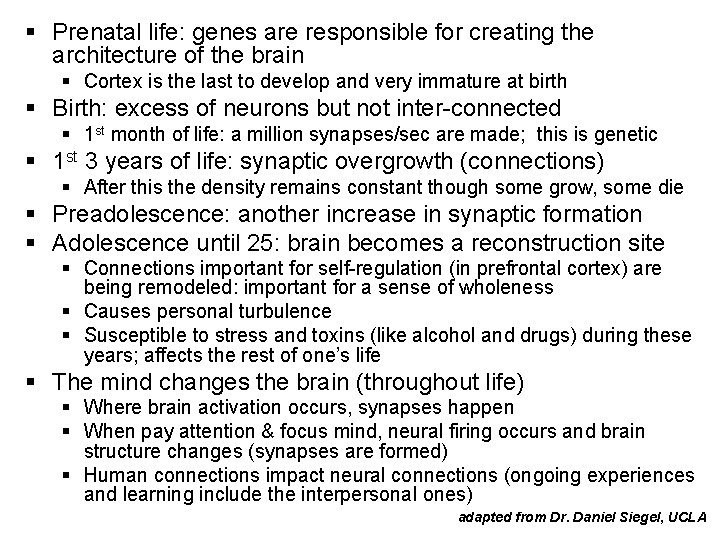 § Prenatal life: genes are responsible for creating the architecture of the brain §