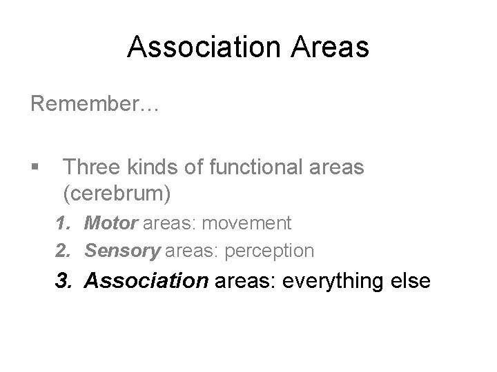 Association Areas Remember… § Three kinds of functional areas (cerebrum) 1. Motor areas: movement