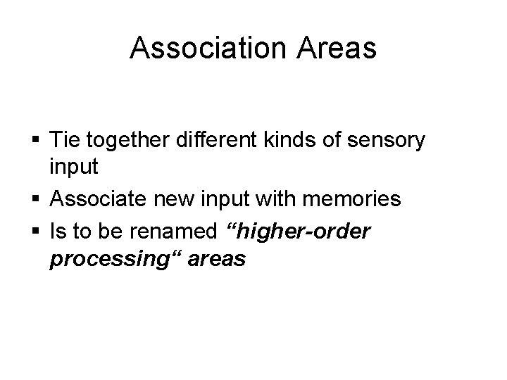 Association Areas § Tie together different kinds of sensory input § Associate new input