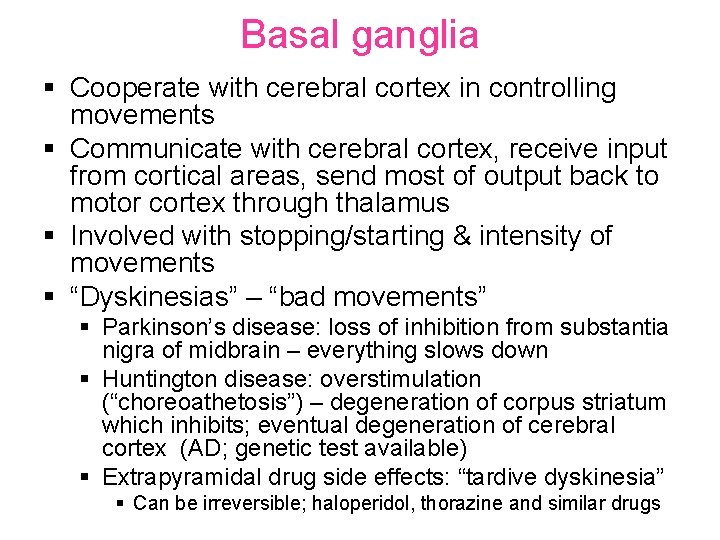 Basal ganglia § Cooperate with cerebral cortex in controlling movements § Communicate with cerebral