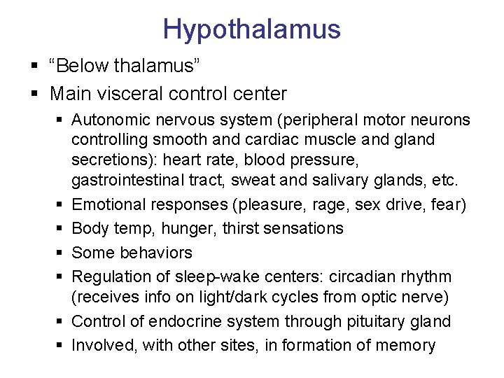 Hypothalamus § “Below thalamus” § Main visceral control center § Autonomic nervous system (peripheral