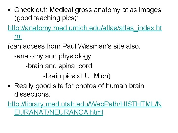 § Check out: Medical gross anatomy atlas images (good teaching pics): http: //anatomy. med.
