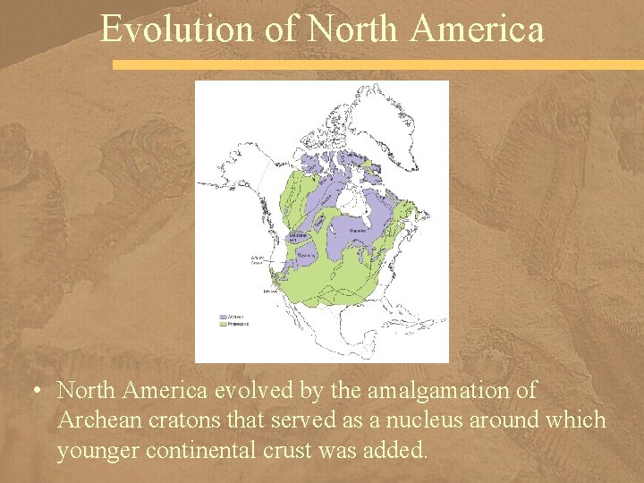 Evolution of North America • North America evolved by the amalgamation of Archean cratons