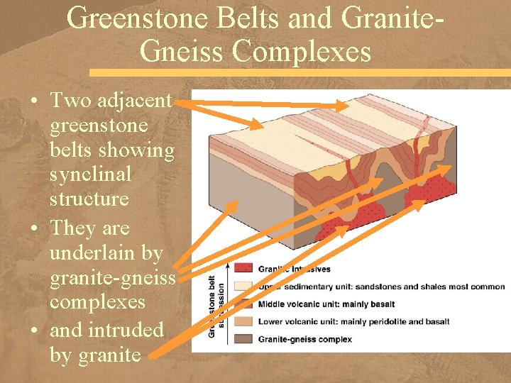 Greenstone Belts and Granite. Gneiss Complexes • Two adjacent greenstone belts showing synclinal structure