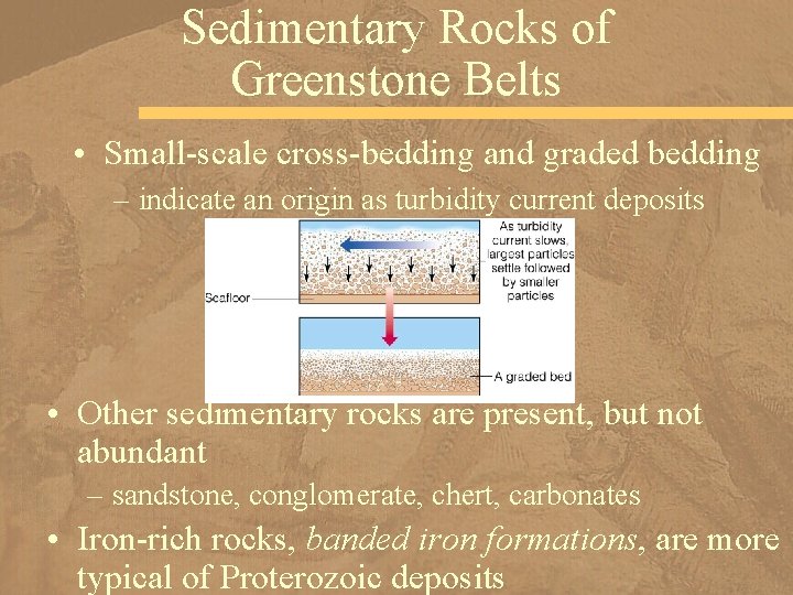 Sedimentary Rocks of Greenstone Belts • Small-scale cross-bedding and graded bedding – indicate an