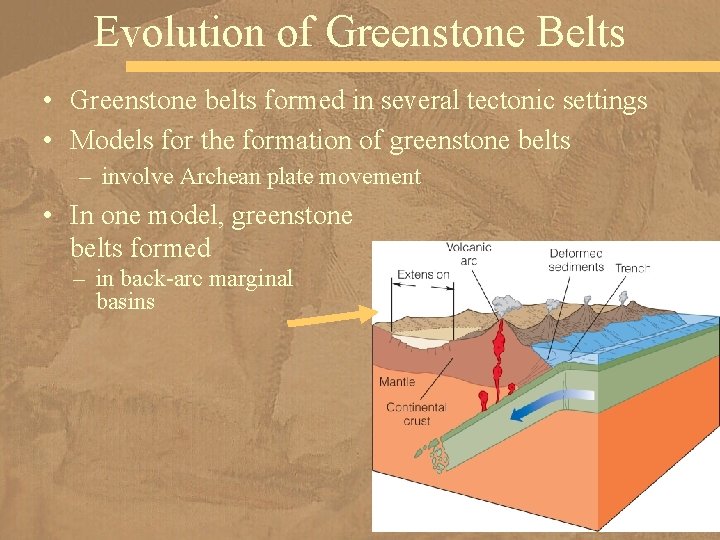 Evolution of Greenstone Belts • Greenstone belts formed in several tectonic settings • Models