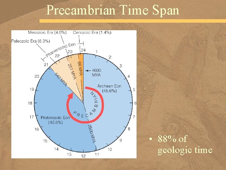 Precambrian Time Span • 88% of geologic time 