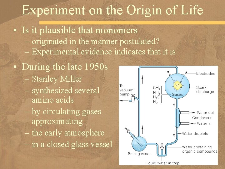 Experiment on the Origin of Life • Is it plausible that monomers – originated