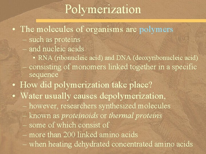 Polymerization • The molecules of organisms are polymers – such as proteins – and