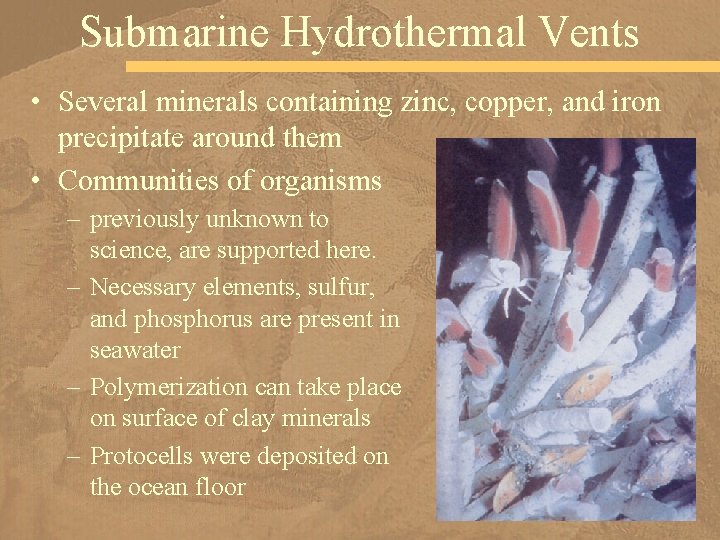 Submarine Hydrothermal Vents • Several minerals containing zinc, copper, and iron precipitate around them